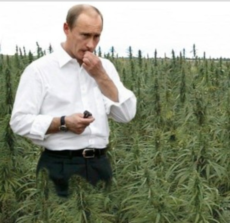 Путін і наркотики