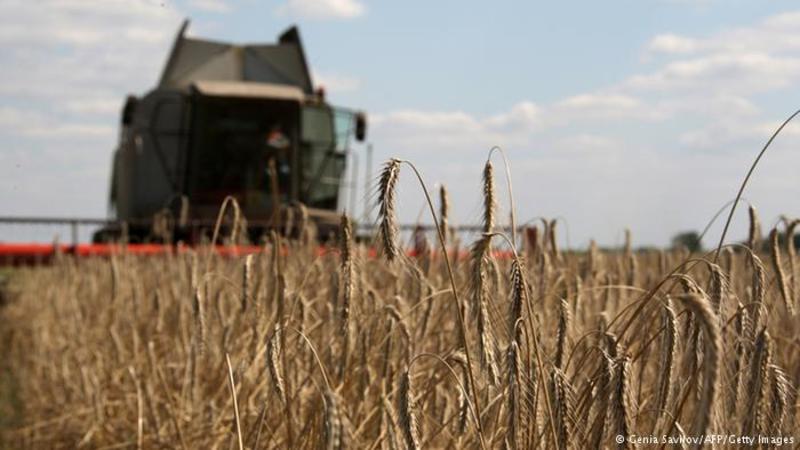 Ukraine: Another crisis for 'Europe's bread basket'