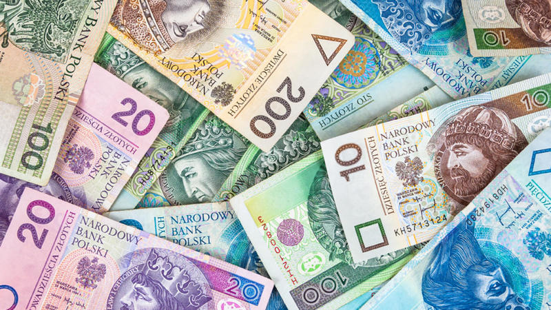 Поляки перед вибором: злоти чи євро?