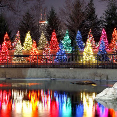 Lincoln Park Zoo’s Zoolights