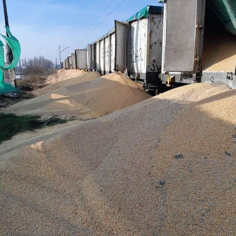 У Польщі з вагонів висипали 160 тонн української агропродукції