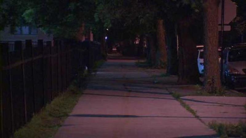 Поліція Чикаго розшукує двох грабіжниць недалеко від Northwest Side