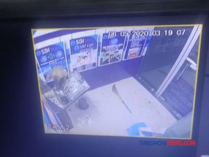 Як в Індії мавпа зламала банкомат і втекла з місця злочину.Відео