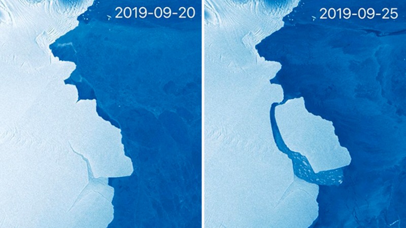В Антарктиді відколовся найбільший за пів століття айсберг