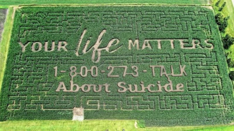У США фермер рятує людей від самогубства кукурудзяним полем