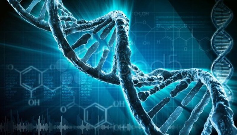 Прорив у науці: геном людини повністю розшифрували