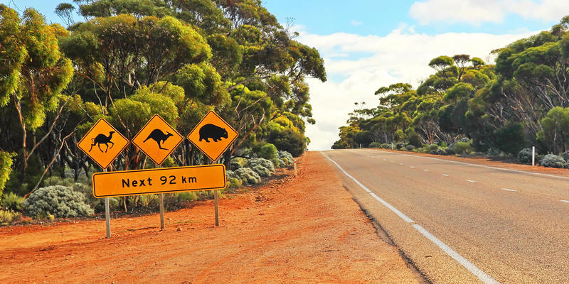 В Австралії зафіксували +50,7℃ - це температурний рекорд