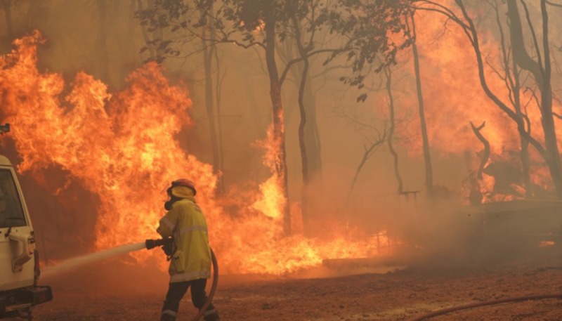 В Австралії вирують масштабні пожежі
