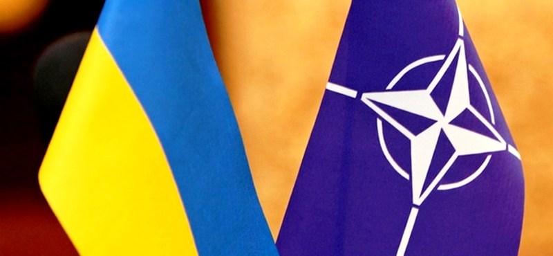 В Україні хочуть провести референдум про вступ до НАТО