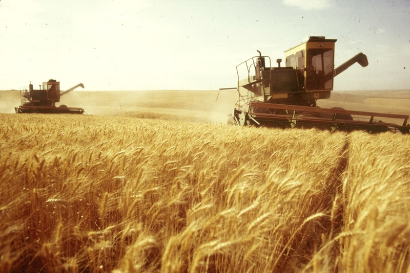 Україна − у трійці лідерів з експорту зернових