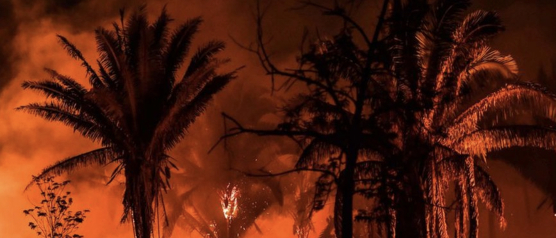 Пожежі в Амазонії: стрімкість поширення вогню побила 13-річний рекорд