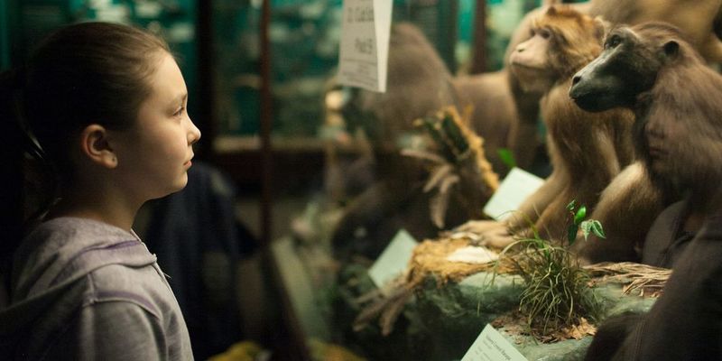 Мешканці Іллінойсу можуть відвідати Field Museum безкоштовно