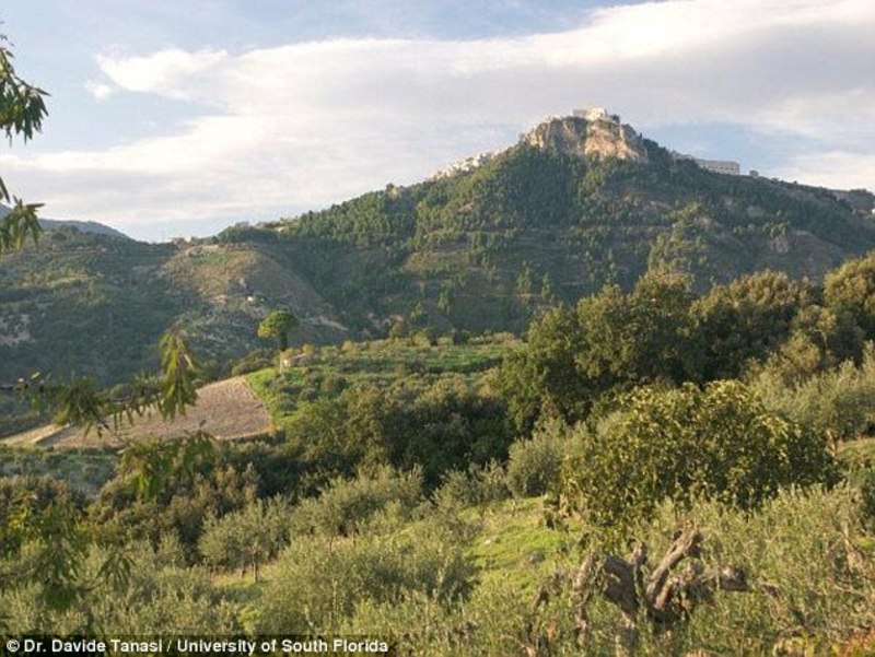 На Сицилії знайшли вино віком шість тисяч років