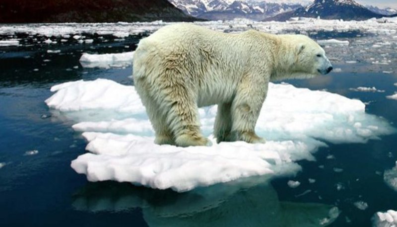Клімат Землі змінюється за найгіршим сценарієм - вчені