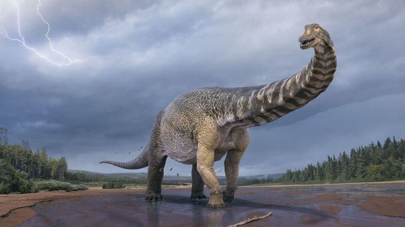 Розміром з баскетбольний майданчик: науковці визначили найбільшого динозавра Австралії