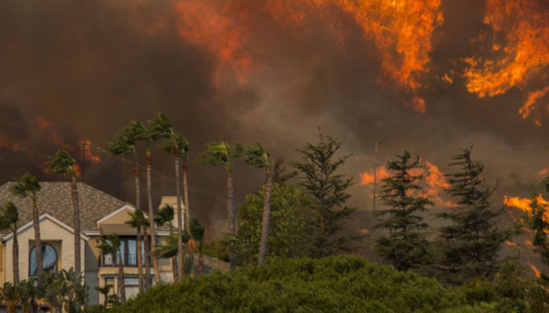 Надзвичайна ситуація через лісові пожежі - Каліфорнія