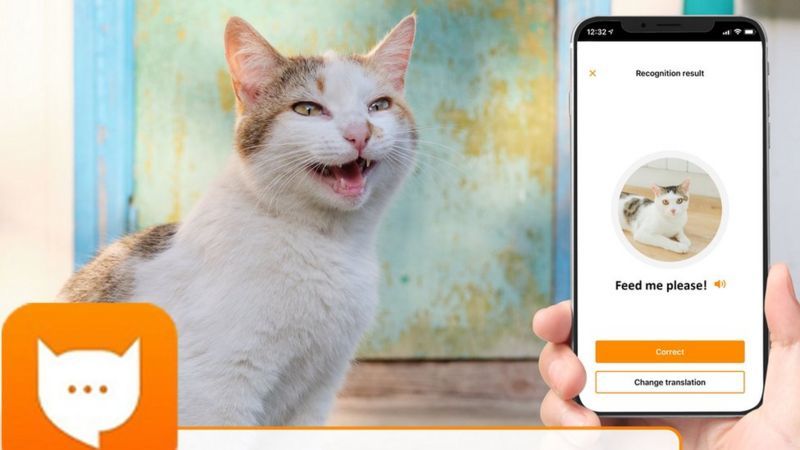 Ексінженер Amazon створив перекладач із «котячої мови» на людську
