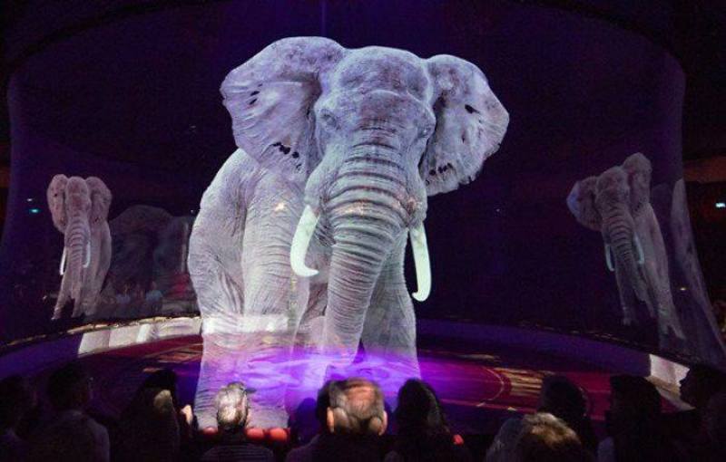 Німецький цирк відмовився від дресированих тварин – їх замінили голограми