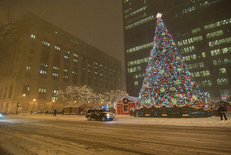 У Чикаго триває конкурс на кращу Різдвяну Ялинку цього року