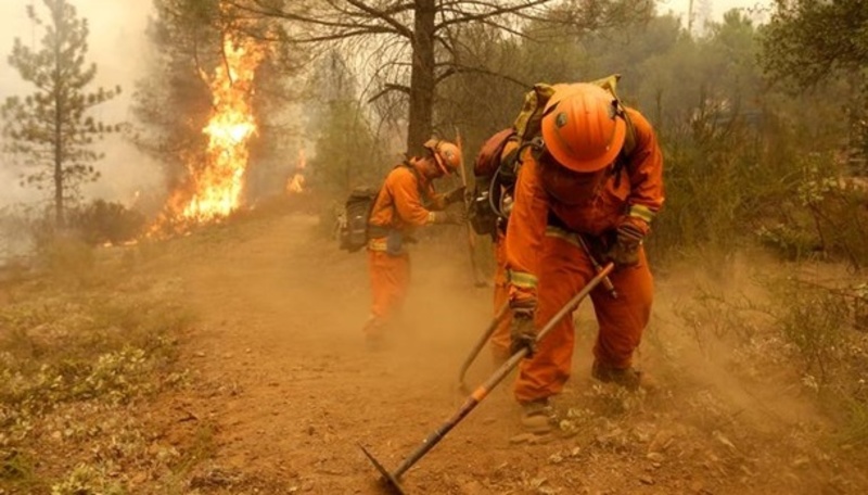 У Каліфорнії через лісові пожежі евакуюють понад 100 000 осіб