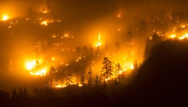 У Канаді оголосили евакуацію через лісову пожежу