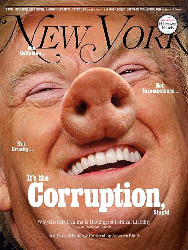 New York Magazine зобразив Трампа в вигляді свині