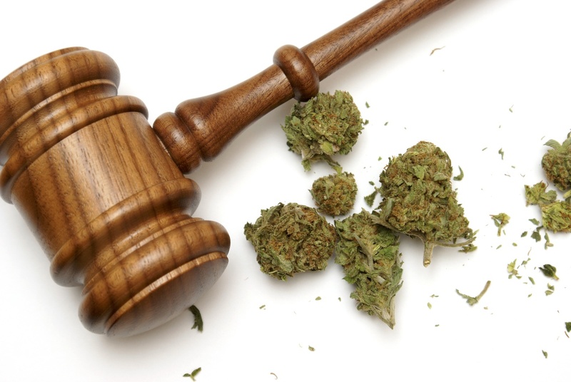 У США зріс попит на юристів, що знаються на виробництві марихуани