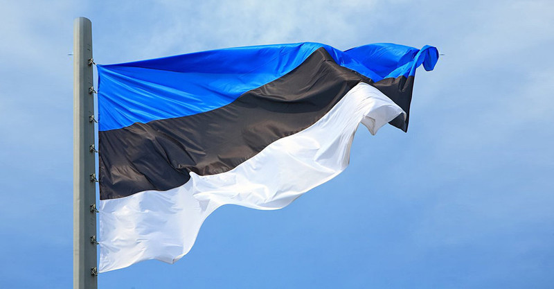 Естонія надасть Україні рекордний пакет військової допомоги: що туди увійде?