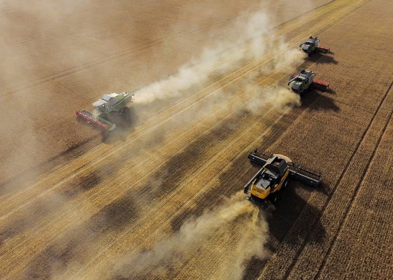 ЄС готується запровадити мито на імпорт зерна з Росії та Білорусі — ЗМІ
