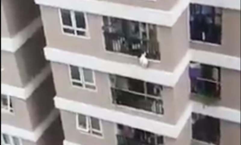 Супергерой: у В’єтнамі кур’єр зловив дівчинку, що випала з 12-го поверху. Відео