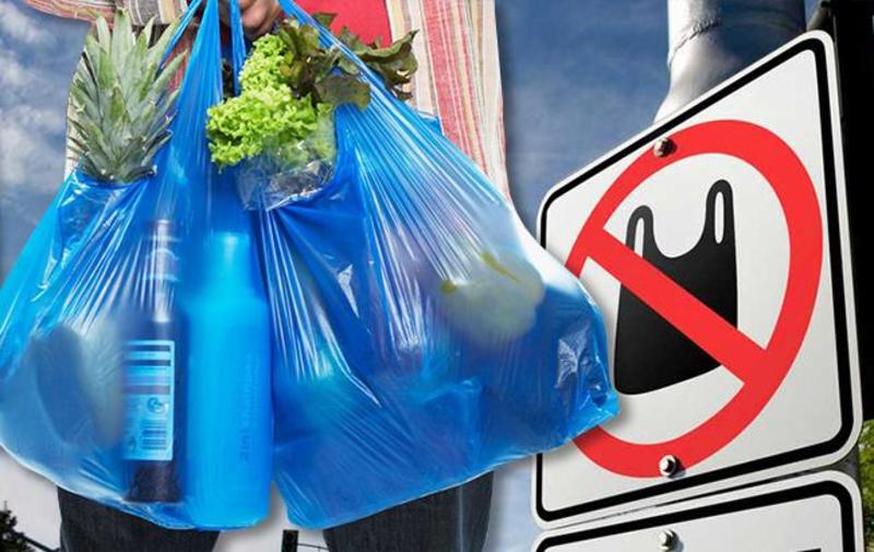 Верховна Рада України заборонила пластикові пакети: деталі