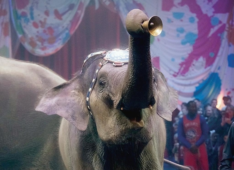 Один з найбільших американських цирків відмовився експлуатувати слонів