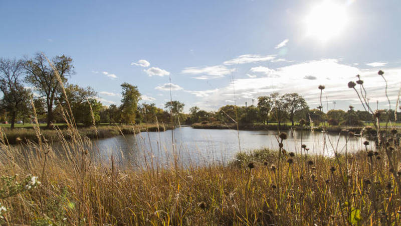 Humboldt Park beach to reopen in July with new features