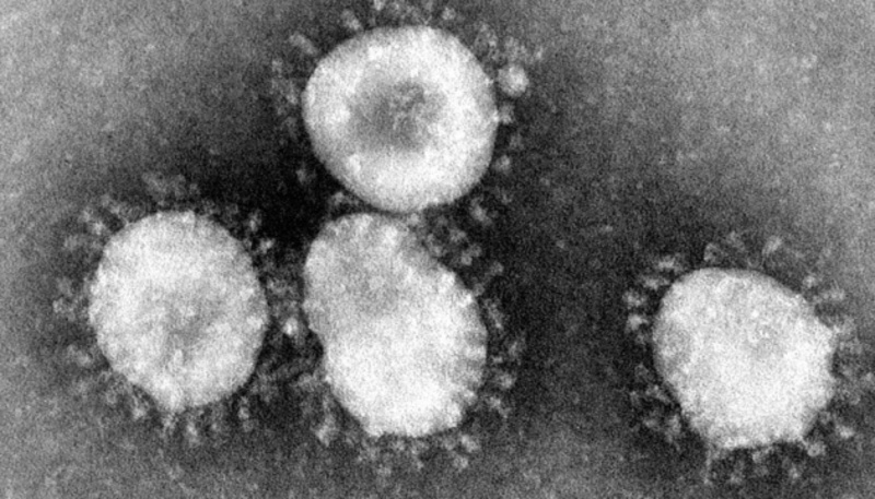 Учені виявили сотні мутацій коронавірусу, що викликає COVID-19