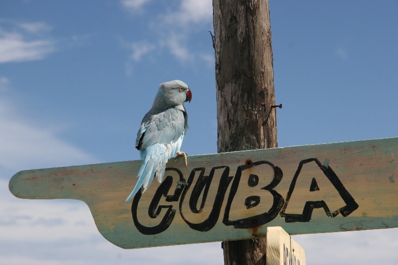 З п'ятниці США послабили обмеження на поїздки до Куби