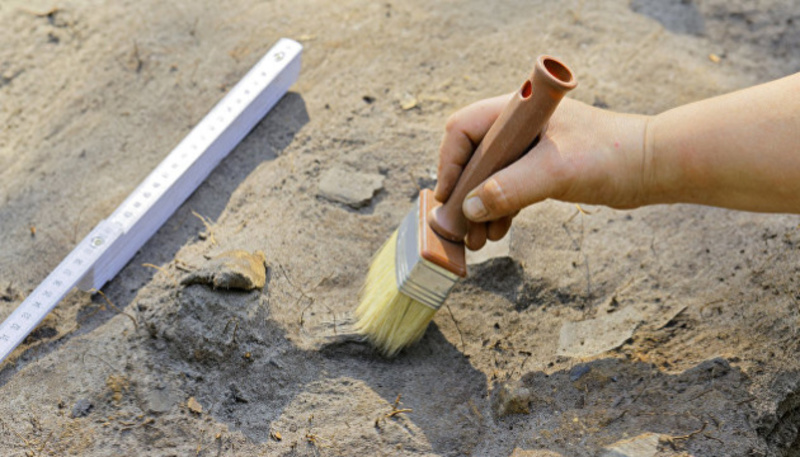 У Китаї знайшли шліфовану пластину зі слонової кістки, якій 100 тисяч років