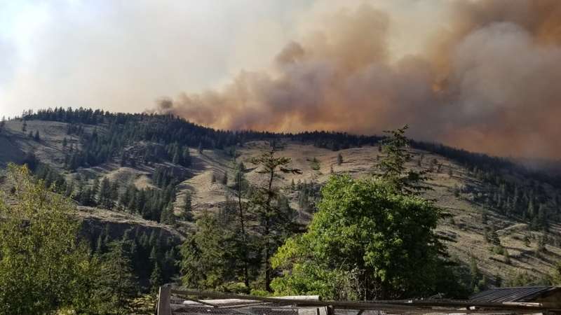 На заході Канади проводять масштабну евакуацію — вирує лісова пожежа