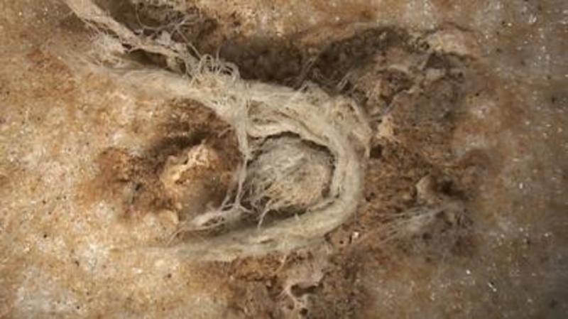 Шнур віком 50 тисяч років - унікальна знахідка розповіла про інтелект неандертальців