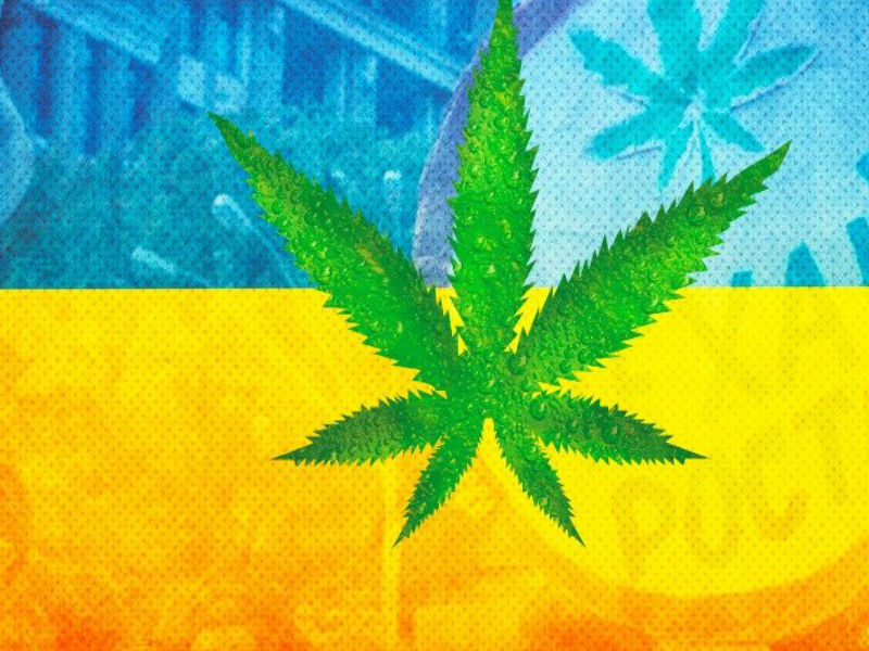 Комітет Верховної Ради схвалив часткову легалізацію марихуани в Україні