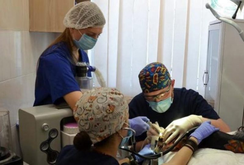У Львові відкрили перший в Україні  стоматологічний кабінет для тварин