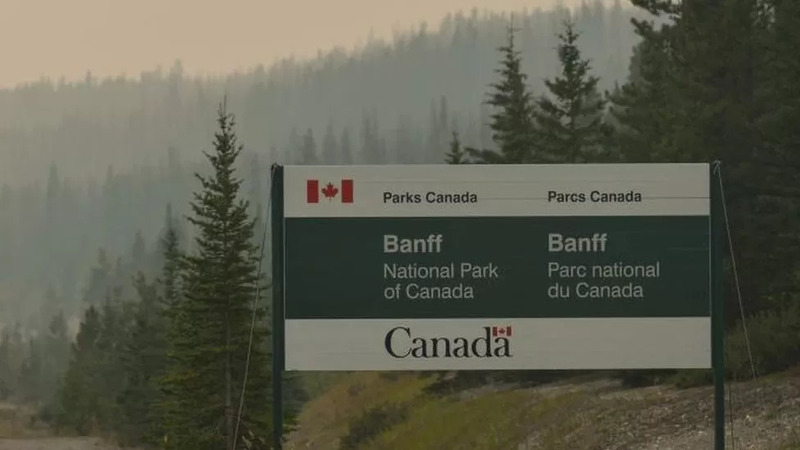 У національному парку Канади ведмідь грізлі вбив двох людей та їхнього собаку