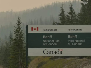 У національному парку Канади ведмідь грізлі вбив двох людей та їхнього собаку