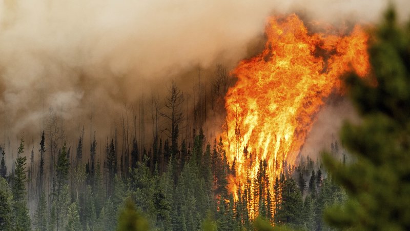 У Канаді вирують лісові пожежі: евакуюють десятки тисяч людей