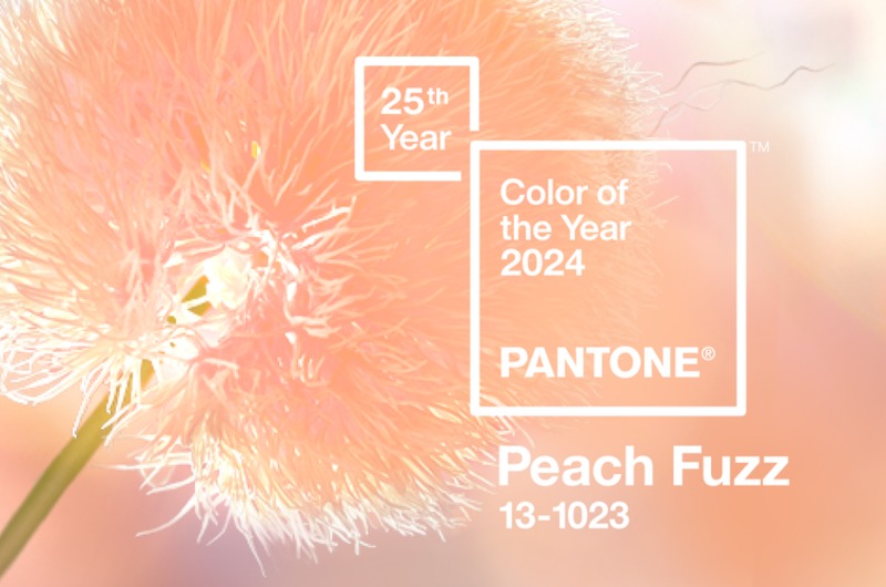 «Збагачує розум, тіло і серце»: Pantone обрав колір 2024 року