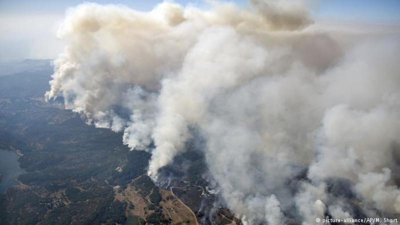 Масштабні лісові пожежі в Каліфорнії: щонайменше десять загиблих
