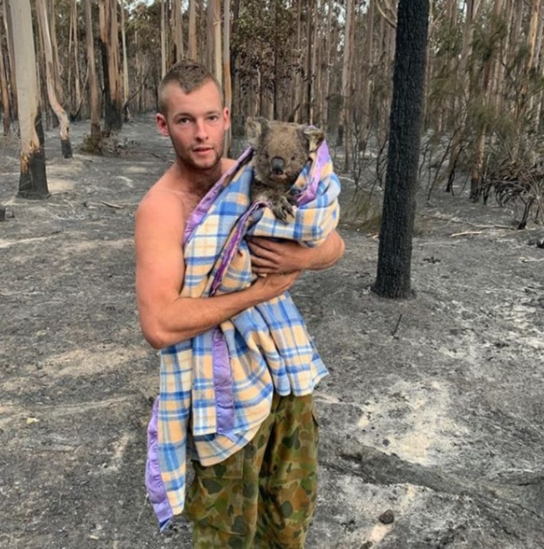 Австралієць врятував від пожеж десятки коал