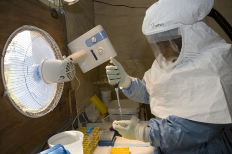 Дослідники Іліноісу створюють вакцину проти вірусу Ебола