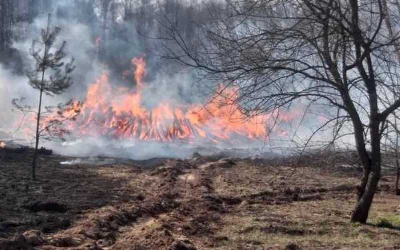До гасіння пожеж у Чорнобильській зоні залучили понад 300 людей та авіацію