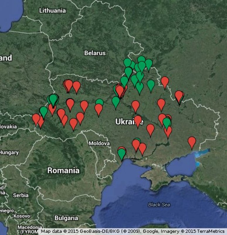 Українські волонтери придумали, як врятувати тисячі ялинок