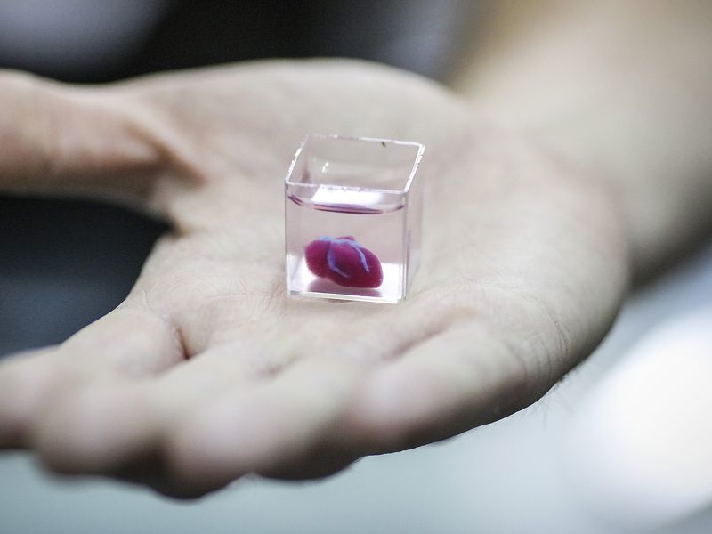 Науковці вперше надрукували серце за допомогою 3D-принтера